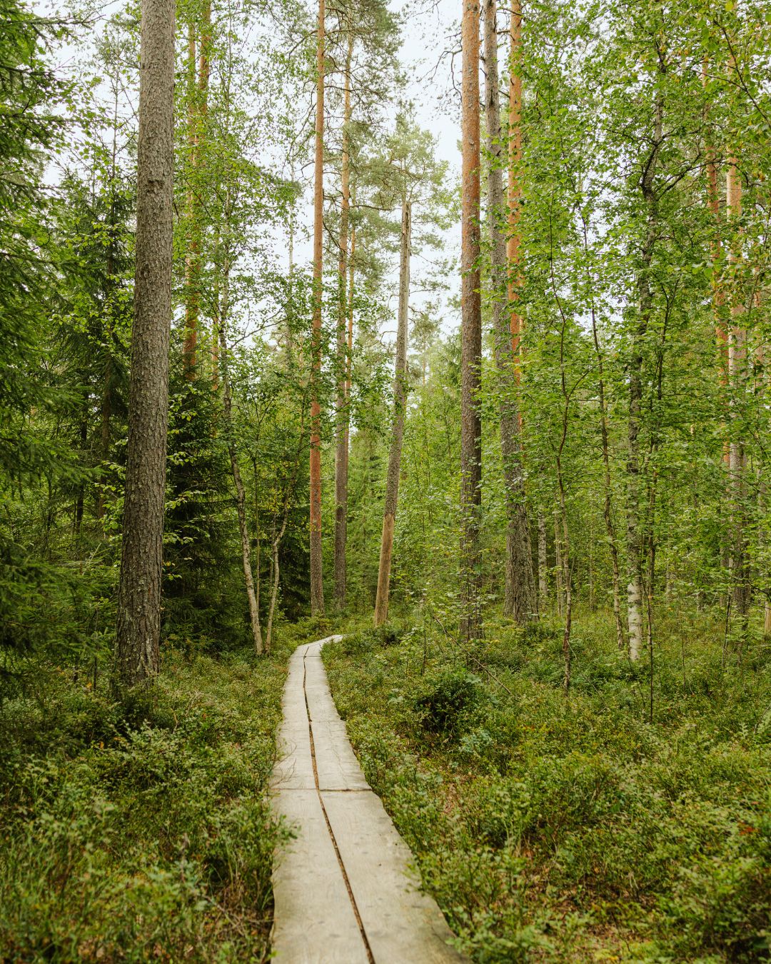 Tervetuloa tutustumaan Hyvinkään Lämpvoiman vuosi- ja vastuullisuuskertomukseen 2025